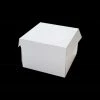 Party Animal Direct Square Cake Box (10" X 6") Cake Boxes