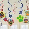 Party Animal Direct Paw Patrol Swirl Value Pack