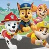 Party Animal Direct Paw Patrol Adventures Lunch Napkins