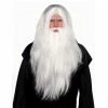Party Animal Direct Costumes SORCERER WIG AND BEARD SET