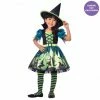 Party Animal Direct Costume Hocus Pocus Witch Girls 3-4 Years Costumes