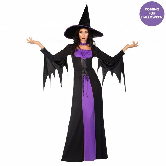 Party Animal Direct Costume Classic Witch Women's Size 14-16