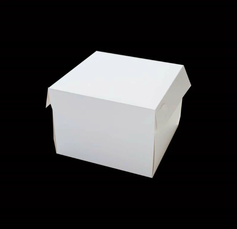 Party Animal Direct Cake Boxes Square Cake Box (9β X 5β)