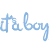 Party Animal Direct Baby Shower It's A Boy Air-filed Decoration (blue)