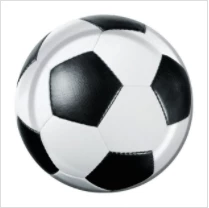 Party Animal Direct Soccer Party Soccer Plate