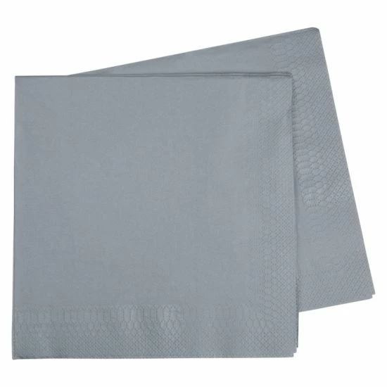 Party Animal Direct Paper Partyware FS Napkins Dinner 2Ply Silver 40 Pack