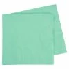 Party Animal Direct Napkins Dinner 2Ply MINT GREEN 40 Pack