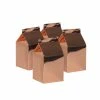 Party Animal Direct FS MILK BOX METALLIC ROSE GOLD 10PK Paper Partyware