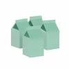 Party Animal Direct FS MILK BOX MINT GREEN 10PK