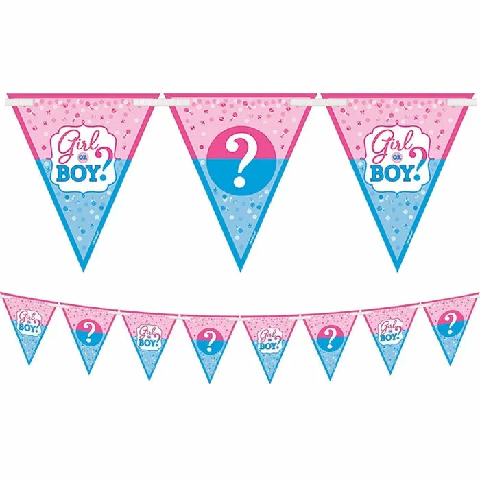 Party Animal Direct GIRL OR BOY PENNANT BANNER (4.57M) Baby Shower