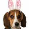 Party Animal Direct Dog Bunny Ears