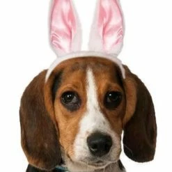 Party Animal Direct Dog Bunny Ears