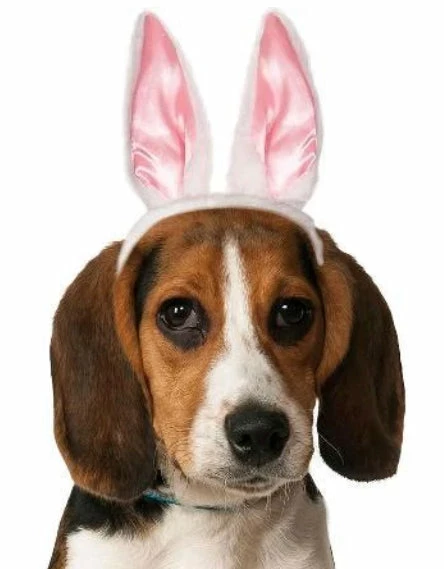 Party Animal Direct Dog Bunny Ears