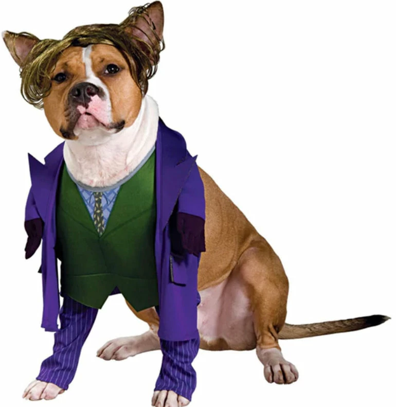 Party Animal Direct Pet Costumes The Dark Knight “the Joker” Large Dog Costume