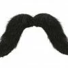 Party Animal Direct Moustache Black Costume Accessories