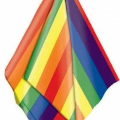 Party Animal Direct Costumes Rainbow Bandana