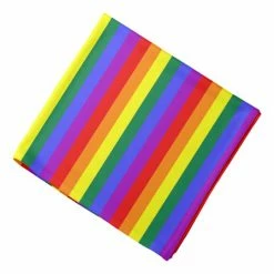 Party Animal Direct Rainbow Bandana