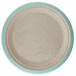 Alpen Sugarcane Lunch Plates 180mm Mint Green 10 Pack